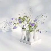 ちゃんの画像