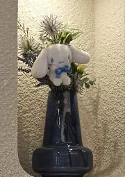 ちょこ