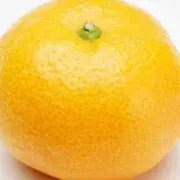 みかん