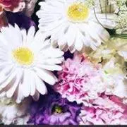 たまごん