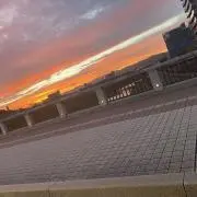 nomuraの画像