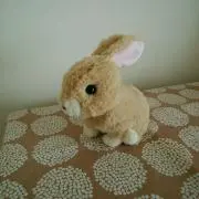 ＊ゆきんこ＊の画像