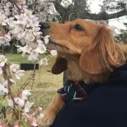 ⭐︎断捨離ずんだもち⭐︎の画像