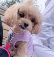 ゆっこ