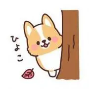 スペランツァ