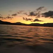 クロレガの画像