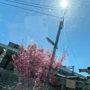 hの画像