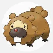 ビッパの画像
