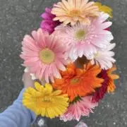 mの画像