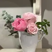 ララの画像