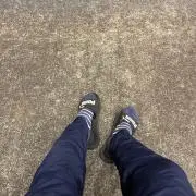 アキの画像
