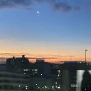 もふれの画像