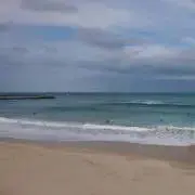 け虫の画像