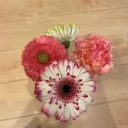 ゆたまる※プロフ必読の画像