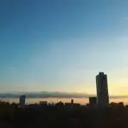 カードの画像