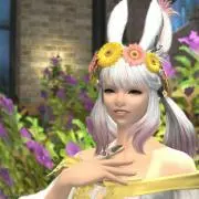みーや