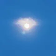 浅野  睦月の画像