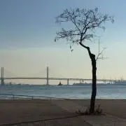 bay midi