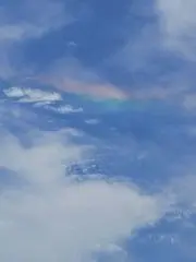 みゅーりん
