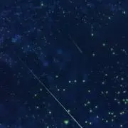 緑