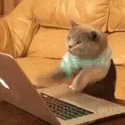 なべぃの画像