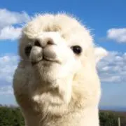 pirooooo55