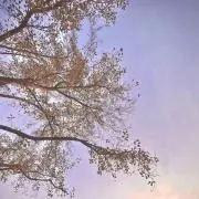 na