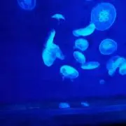 てや★プロフ必読お願いします♪の画像