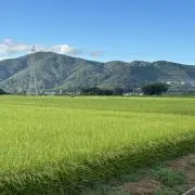おかきの画像