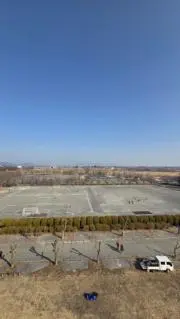 楓の画像