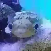 断捨離