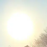 しゃち