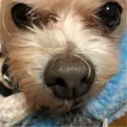 こもこうの画像