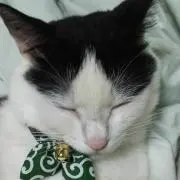 masatoshi