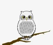 ふくろうの画像
