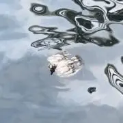Jacobの画像