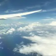 やまみー