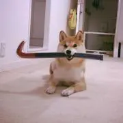 ンワ