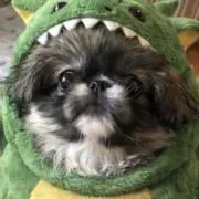 ビリーブの画像
