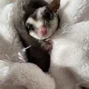 Joe 売切りたいので値下げ交渉歓迎！