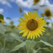とー