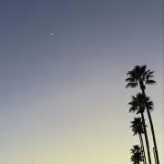 zuuの画像