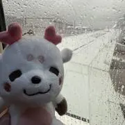 全て匿名発送の画像