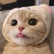 即購入okの画像