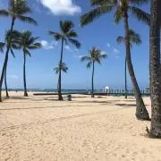 海外旅行の画像