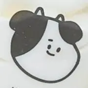 ぽむの画像