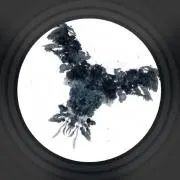 エリーゼ