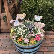 PUNIMARUの画像