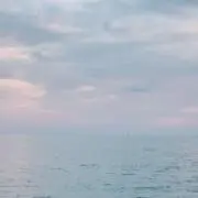 空色タイガーの画像