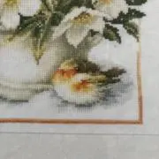 { rɔ́bin }の画像